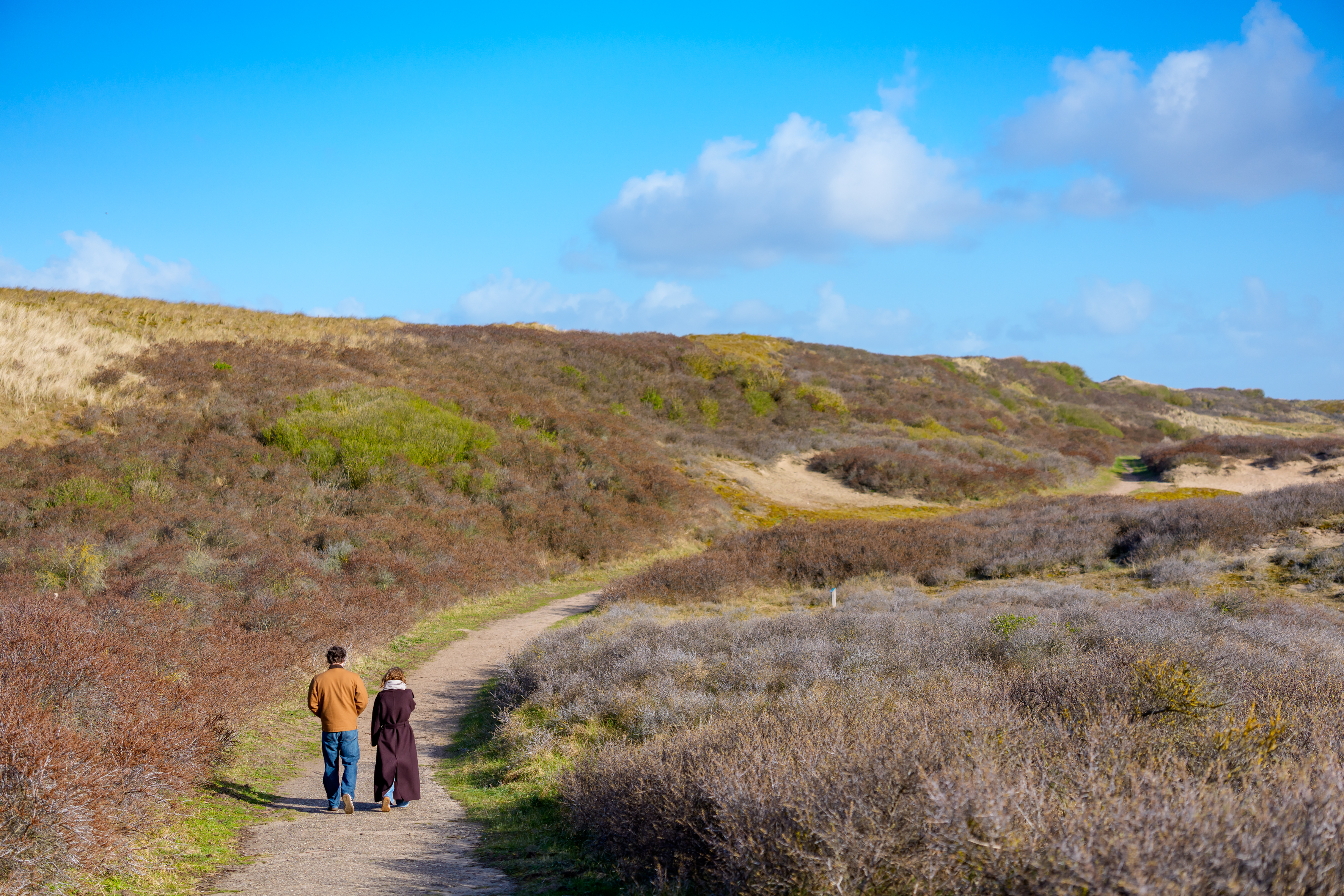 Duinen Castricum